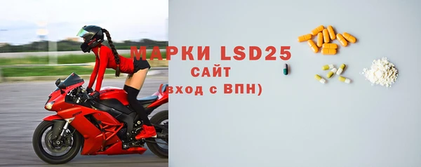 шишки Бородино