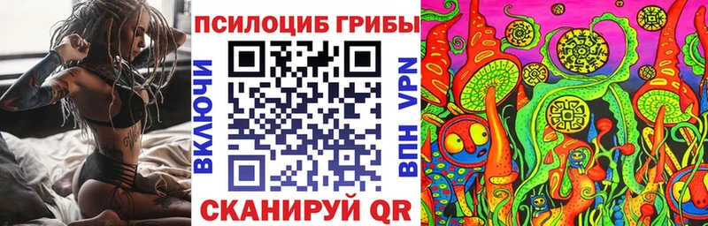 дарк нет какой сайт  магазин  наркотиков  Туран  Галлюциногенные грибы мицелий  мега рабочий сайт 